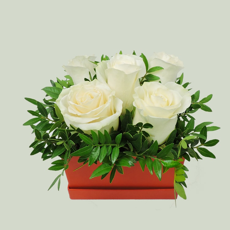 λευκα τριαντάφυλλα σε κόκκινο κουτί