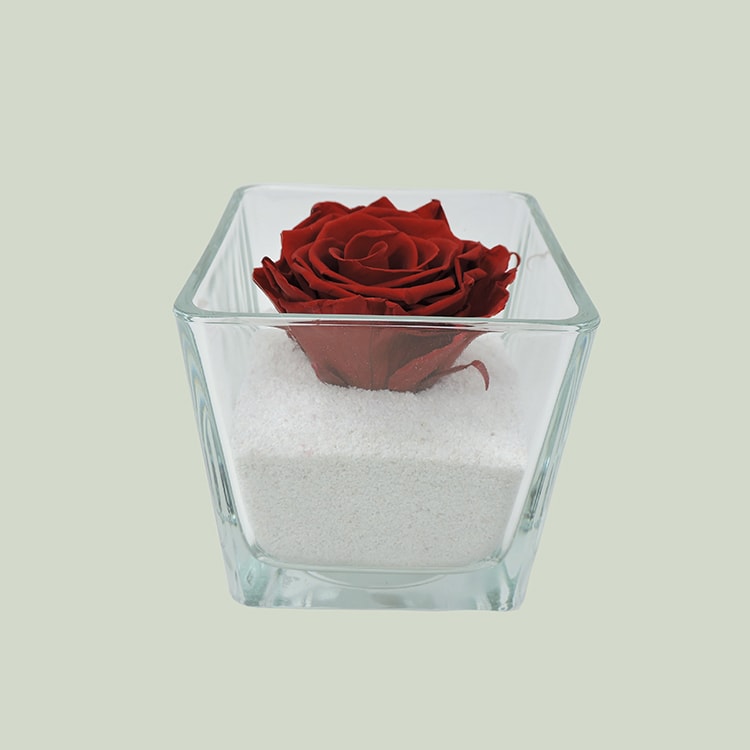 Τριαντάφυλλο forever rose σε γυάλινο κύβο σε κόκκινο χρώμα