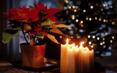 Λουλούδια για Χριστούγεννα στη Θεσσαλονίκη.